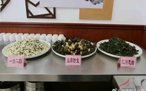 什么叫“形式主义”？