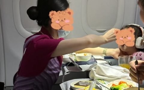 我也想要被空姐喂饭，也想坐头等舱