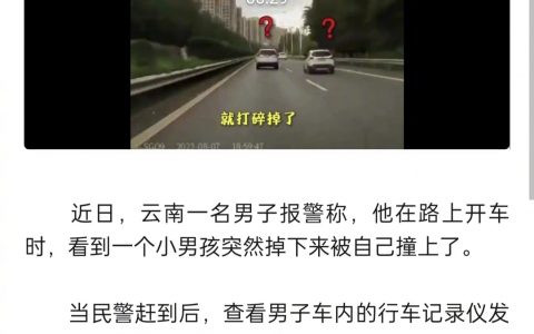 云南见手青，威名不是虚的