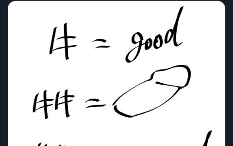 开始接触中文的精髓了 ​​​