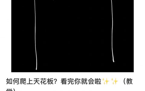 啊？大家好像都在认真学爬墙