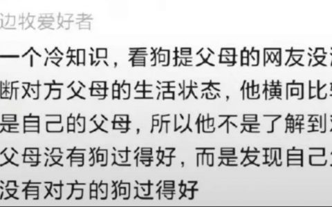 每逢追星倍忧国，每逢猫狗倍思亲