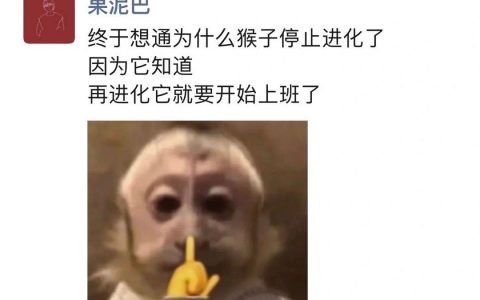 终于想通为什么猴子不进化了 ​​​