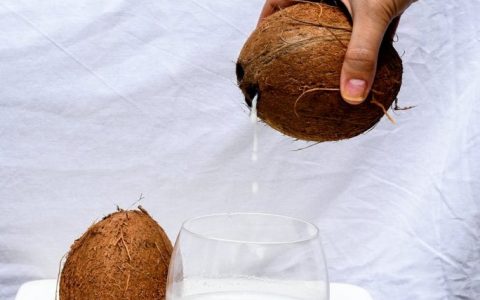 椰子汁与椰子水的区别在哪