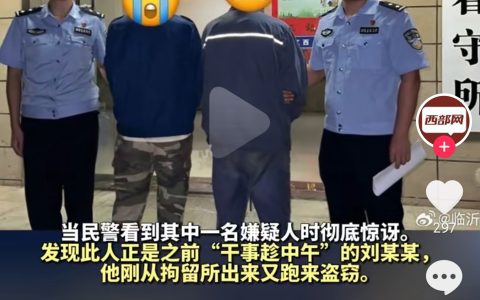 可以入选年度弱智新闻了