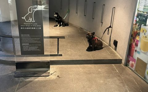 他俩站那不聊聊天吗？