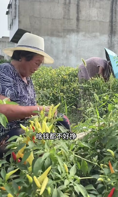 在农村挣一百块有多难