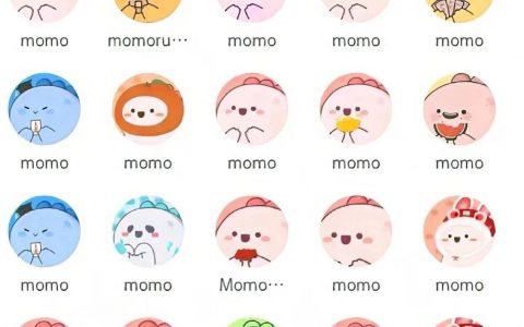 顶着恐龙头像名叫momo的人是谁？