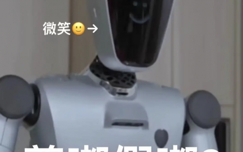 对话稚晖君：具身智能创业窗口转瞬即逝，打擂瞄准偶像马斯克