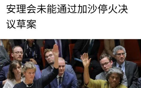 我看这个联合国不要也罢。