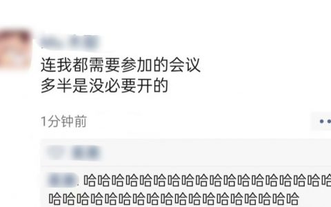 凑人数的会议，别人一忙就我去