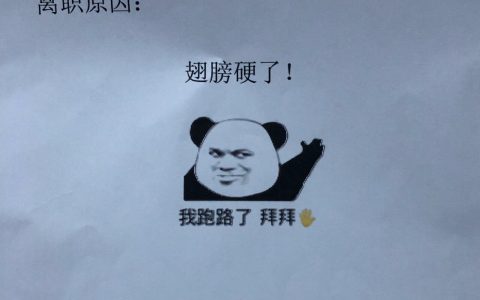 终于知道怎么写离职原因了