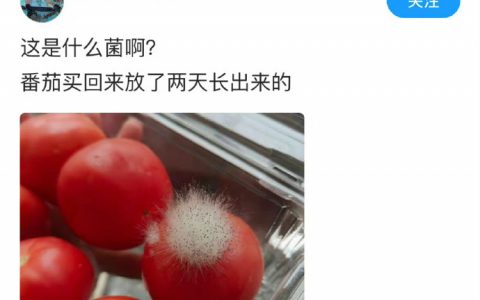 霉菌哪里都长就是不长实验室 ​​​