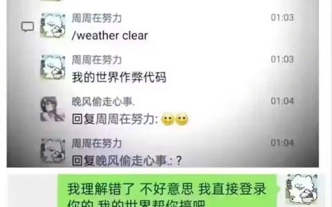 看得出来，他真的很喜欢我的世界
