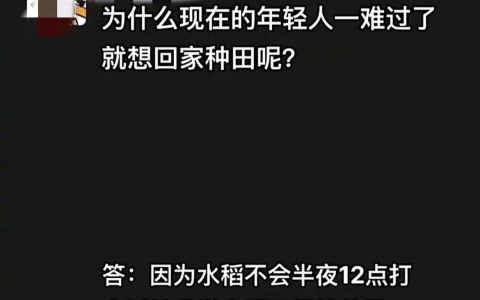 一难过就想回家种田的原因