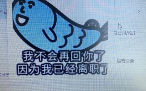 分享的离职专用头像，建议转发保存，万一有一天用上了呢？ ​​​