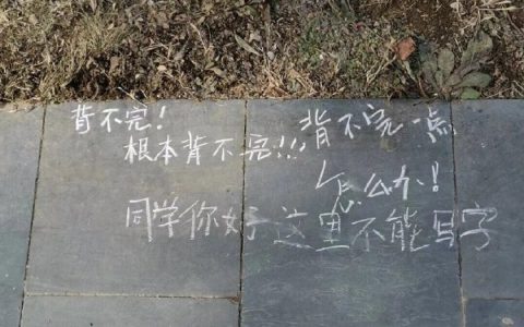 起因是一位期末崩溃的医学上写了一句背不完 路过的大家纷纷把痛苦留在石板上