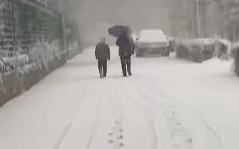 她就这样，独自在暴雪中走了好多年