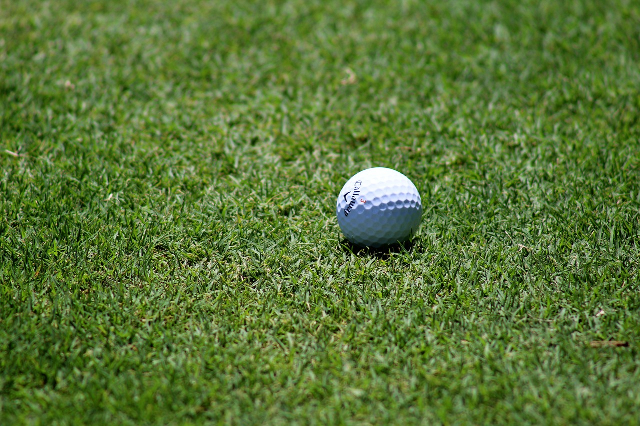 golf_1850984_1280.jpg