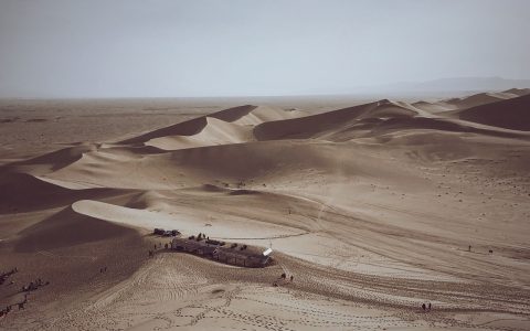 大漠、黄沙、秃鹫、风滚草