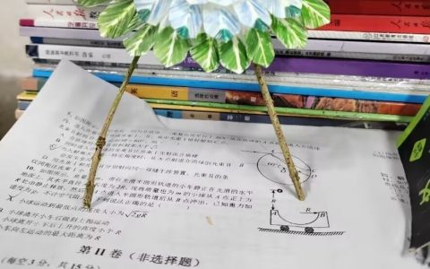 更像了… ​​​
