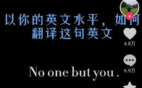 以你的英文水平，如何翻译no one but you