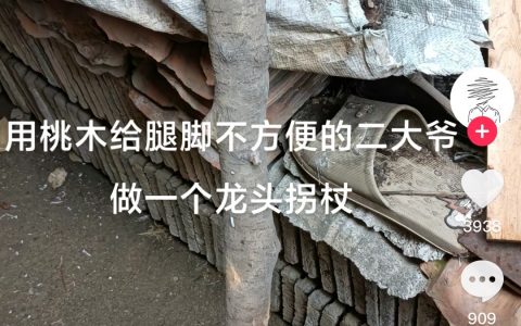 确实是龙头，金木水都有了