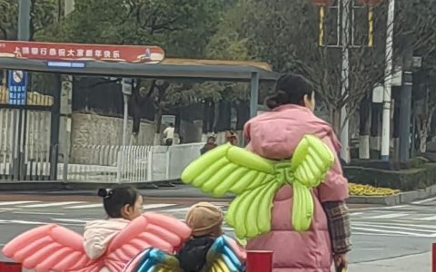 遇到蝴蝶家族咯
