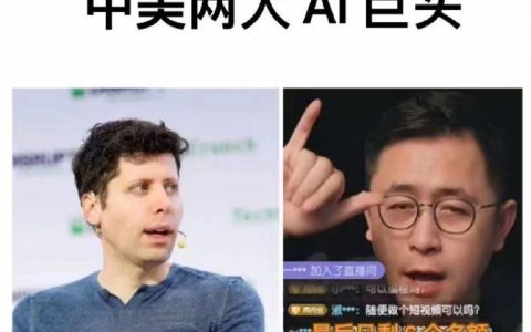 中美两大AI巨头 ​​​