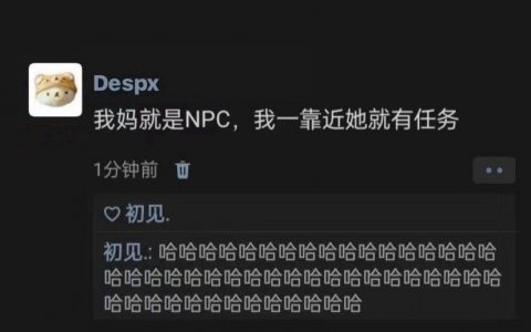 我妈是NPC，一靠近她就有任务 ​​​