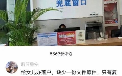 政务本该如此