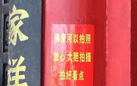 这才对嘛
