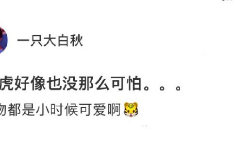 果然什么动物都是小时候最可爱