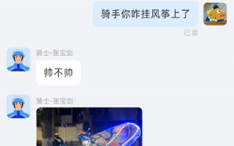 骑手你咋挂风筝上了