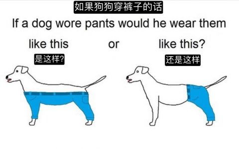 今天我们相聚在这里，是为了庆祝萨摩耶同学勇敢回答了狗狗届穿裤大争议！