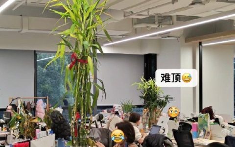 想发财的心在这一刻得到了具象的解释 ​