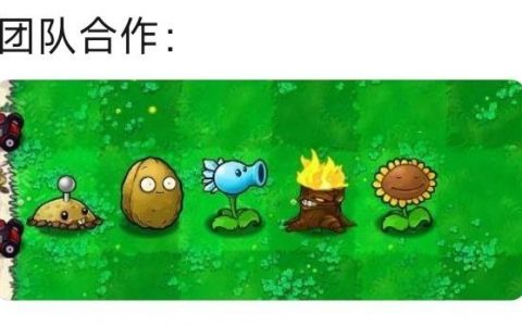 《团队合作》