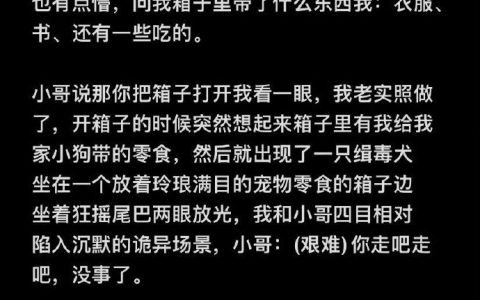 狗狗：考上编也不能断情绝欲 ​