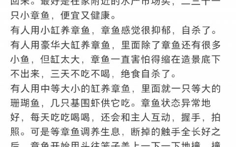 和章鱼共情了，被恐怖直立猿抓走真的好绝望