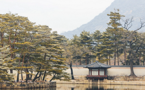 韩国恋综已经搞起了真骨科