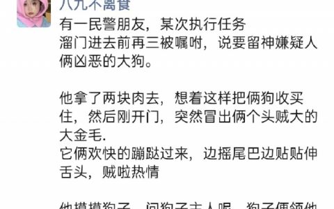 大狗的体积，舔狗的脾气。 ​