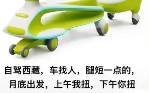 找个人自驾西藏