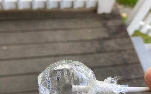 蚂蚁吃空了整个棒棒糖但包装纸仍然保持充盈 ​​​