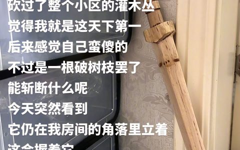 忽有清风化剑气，直斩二十少年意。 ​​​
