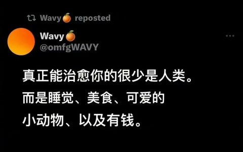 正确的、中肯的、一针见血的