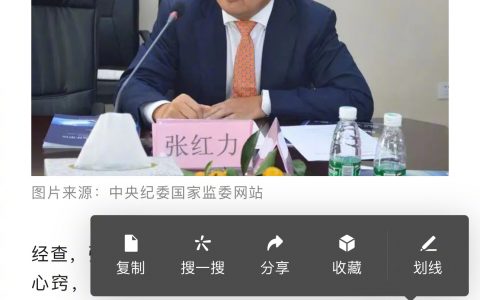 违纪违法原因千千万，白嫖公务机头次见 ​​​