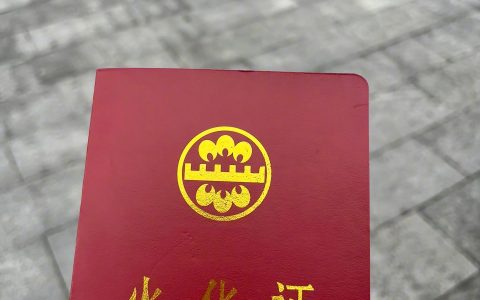 「21岁重庆男子跳江」事件后续