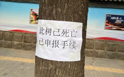 《看到了一棵树的讣告》 ​​​