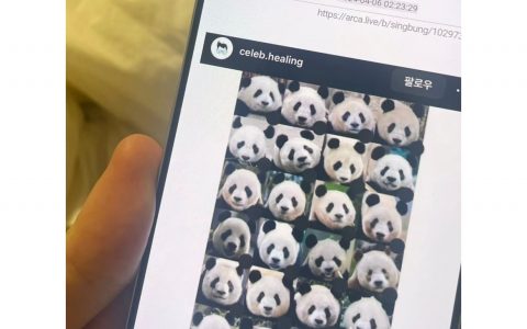 曾经的我以为四川人都能认出来熊猫