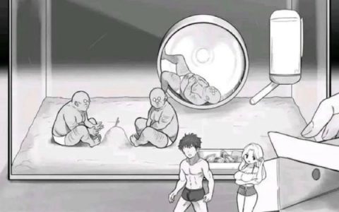 什么ntr模拟器？ ​​​
